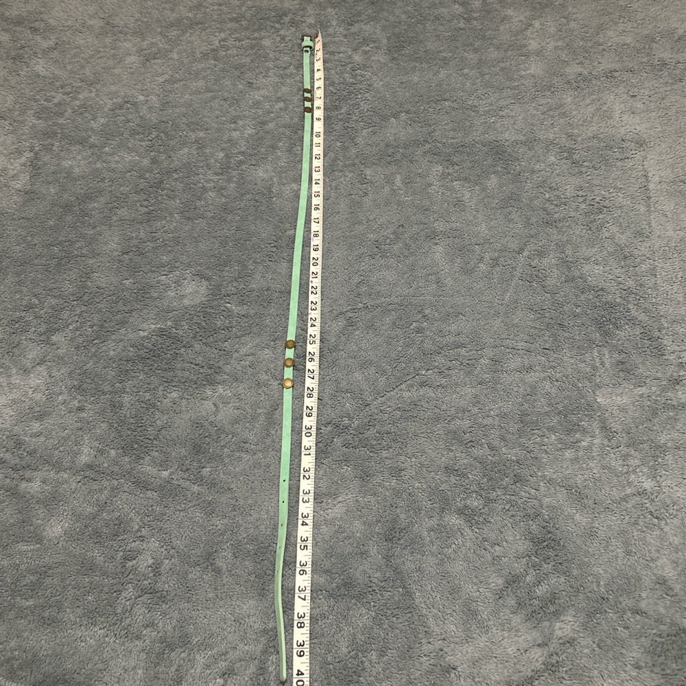Vintage-Style Mint Green Skinny Belt with Bronze Sunburst Studs - Picture 7 of 8